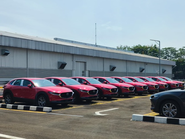 Mazda Plant 05