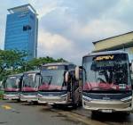 PO SAN Luncurkan Empat Unit Bus Terbaru Dan Kenalkan Update Aplikasi Buzzit